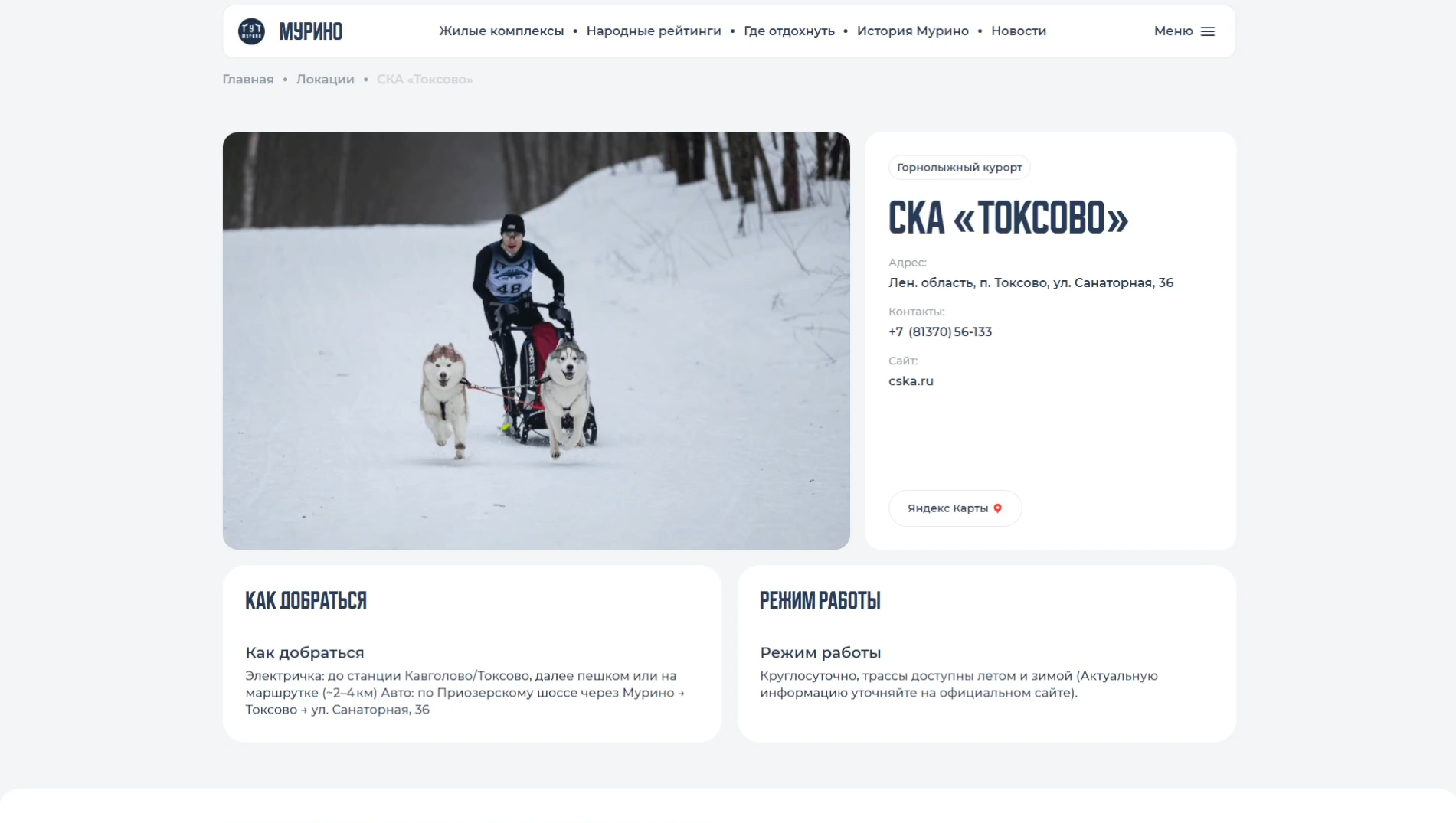 Работающий интерфейс проекта после развёртывания production-окружения